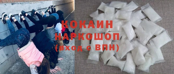 соль ск Алексин