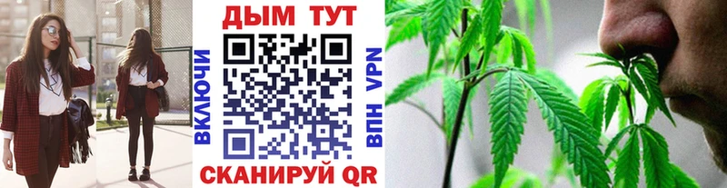Шишки марихуана SATIVA & INDICA  сколько стоит  Чадан 